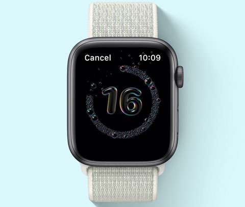 image for this item